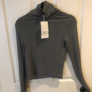 Zara striped turtle neck